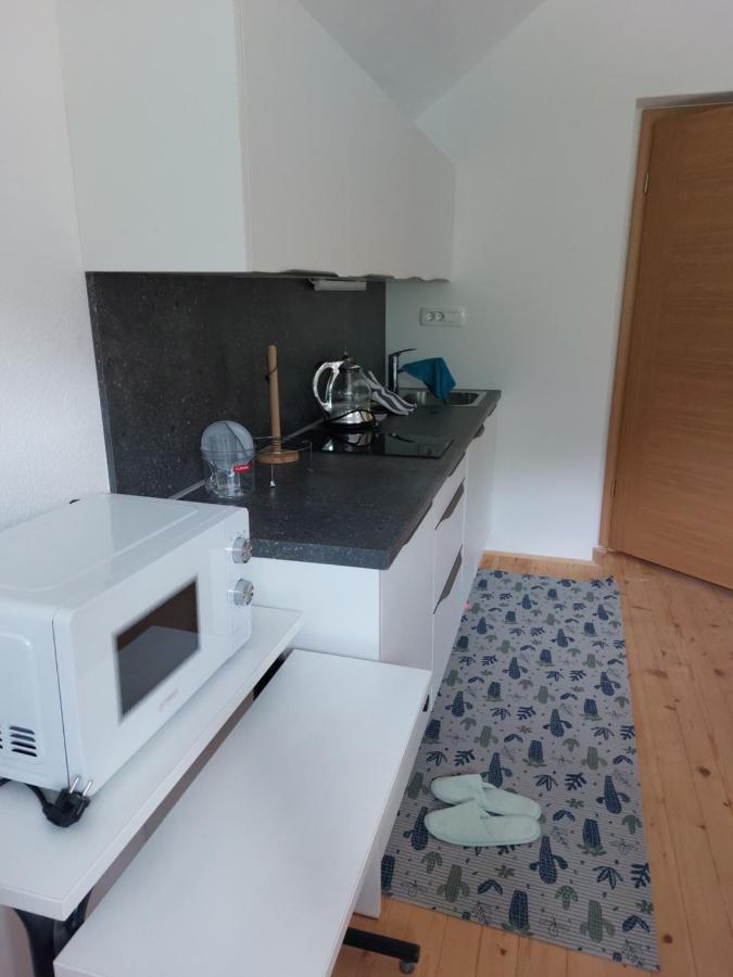 Apartma Sava-Stol Есенице Экстерьер фото