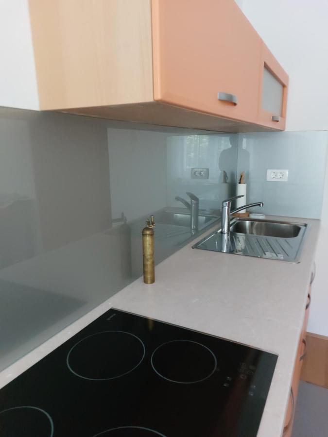 Apartma Sava-Stol Есенице Экстерьер фото