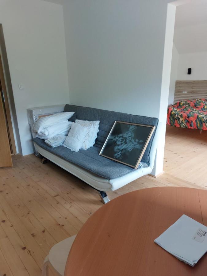 Apartma Sava-Stol Есенице Экстерьер фото