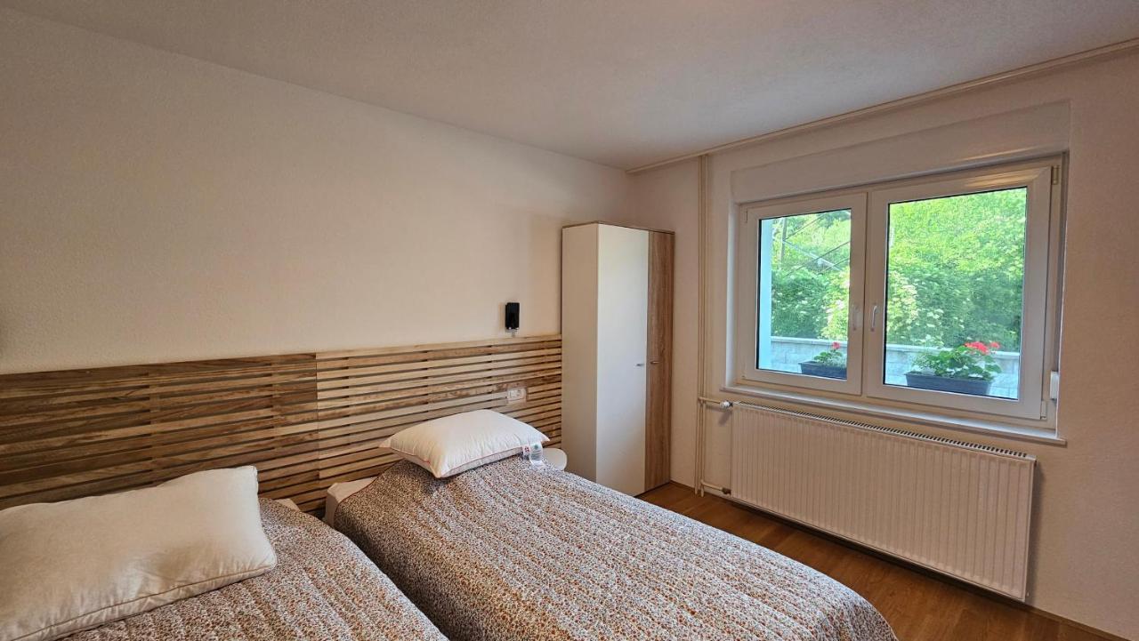 Apartma Sava-Stol Есенице Экстерьер фото